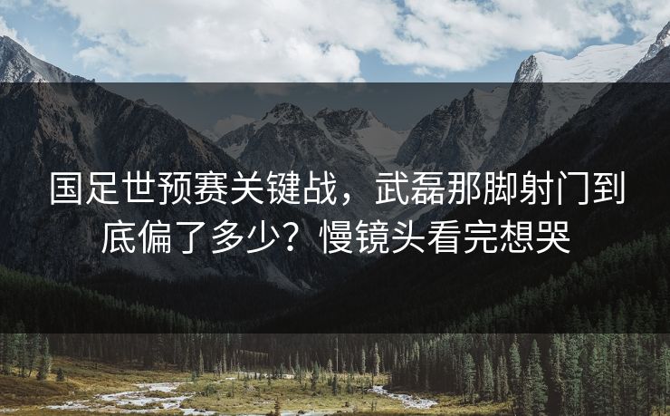 国足世预赛关键战,武磊那脚射门到底偏了多少?慢镜头看完想哭 国足世预赛关键战,武磊那脚射门到底偏了多少?慢镜头看完想哭