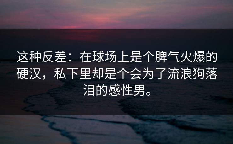 这种反差：在球场上是个脾气火爆的硬汉，私下里却是个会为了流浪狗落泪的感性男。